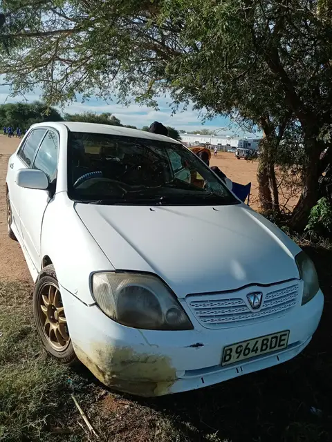 Toyota RunX